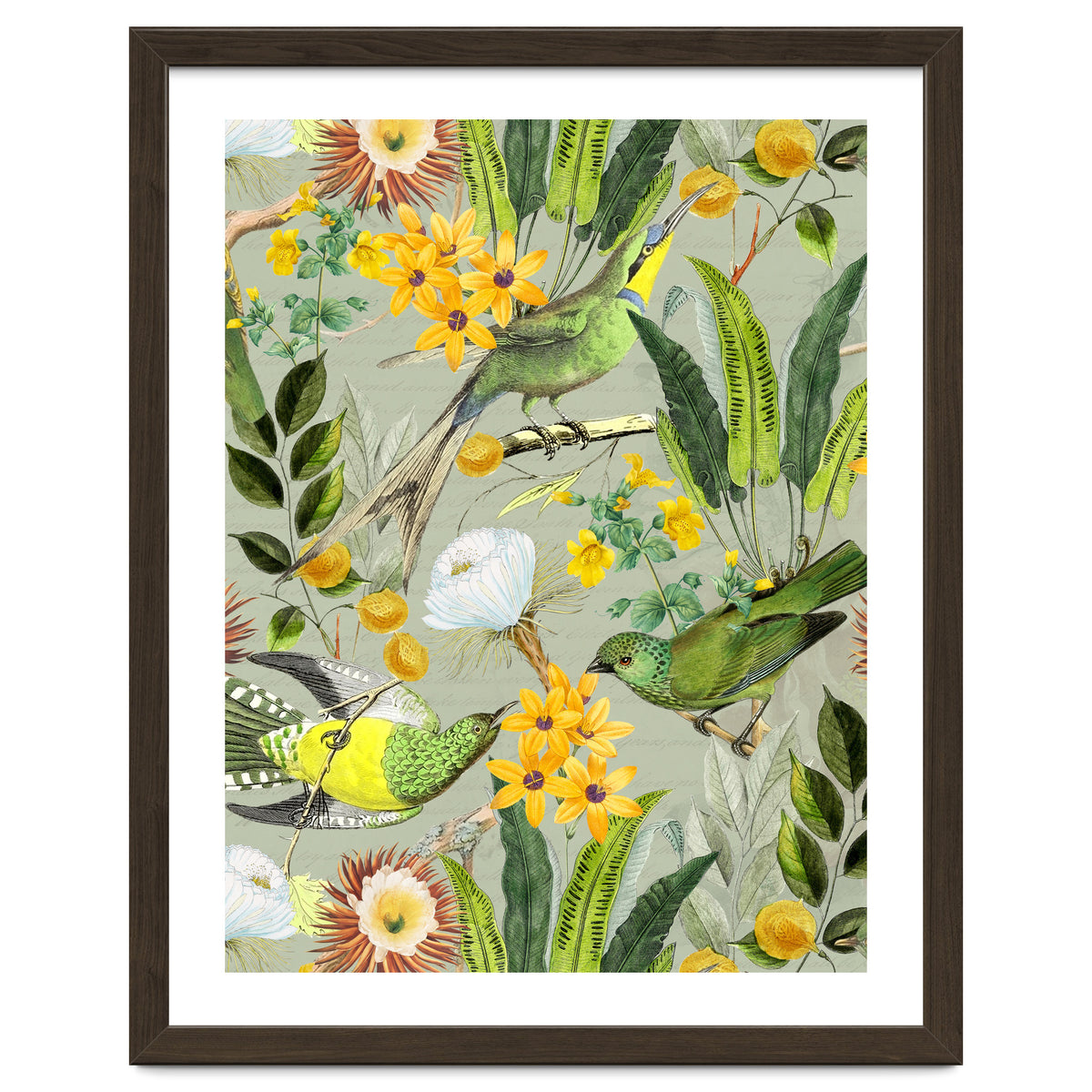 Tropical Birds in Exotic Jungle