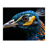 Close Up Of A Peacock Bird Head Eye (Print Only) thumbnail