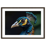 Close-up of a Peacock’s Head thumbnail