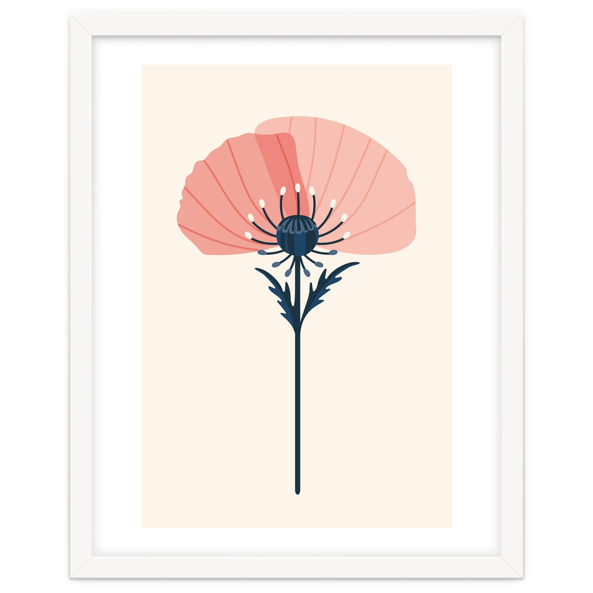 Pink Half Poppy