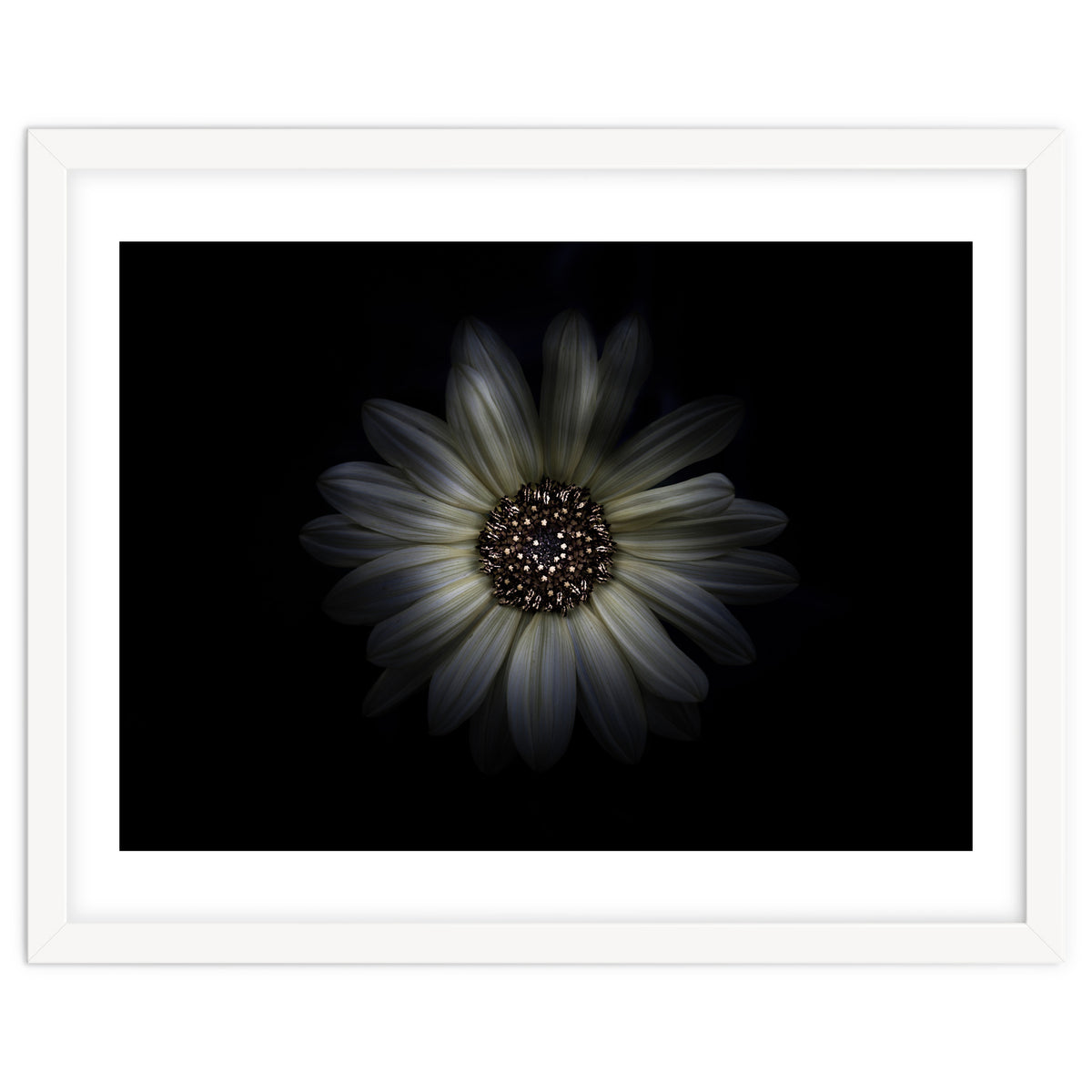 Backyard Flowers No 27 Color Version