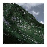 SKIN OF NATURE - WILD CLIFF (Print Only) thumbnail
