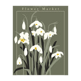 Flower Market Stockholm  Snowdrop (Print Only) thumbnail