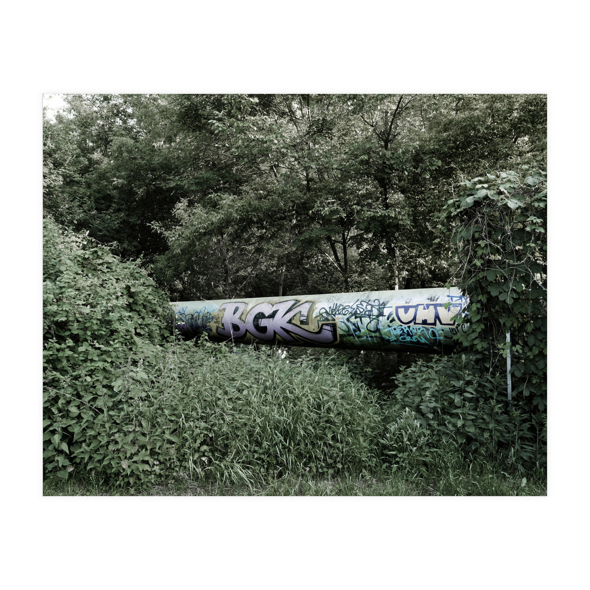 Graffiti pipe among the summer forest (Print Only)