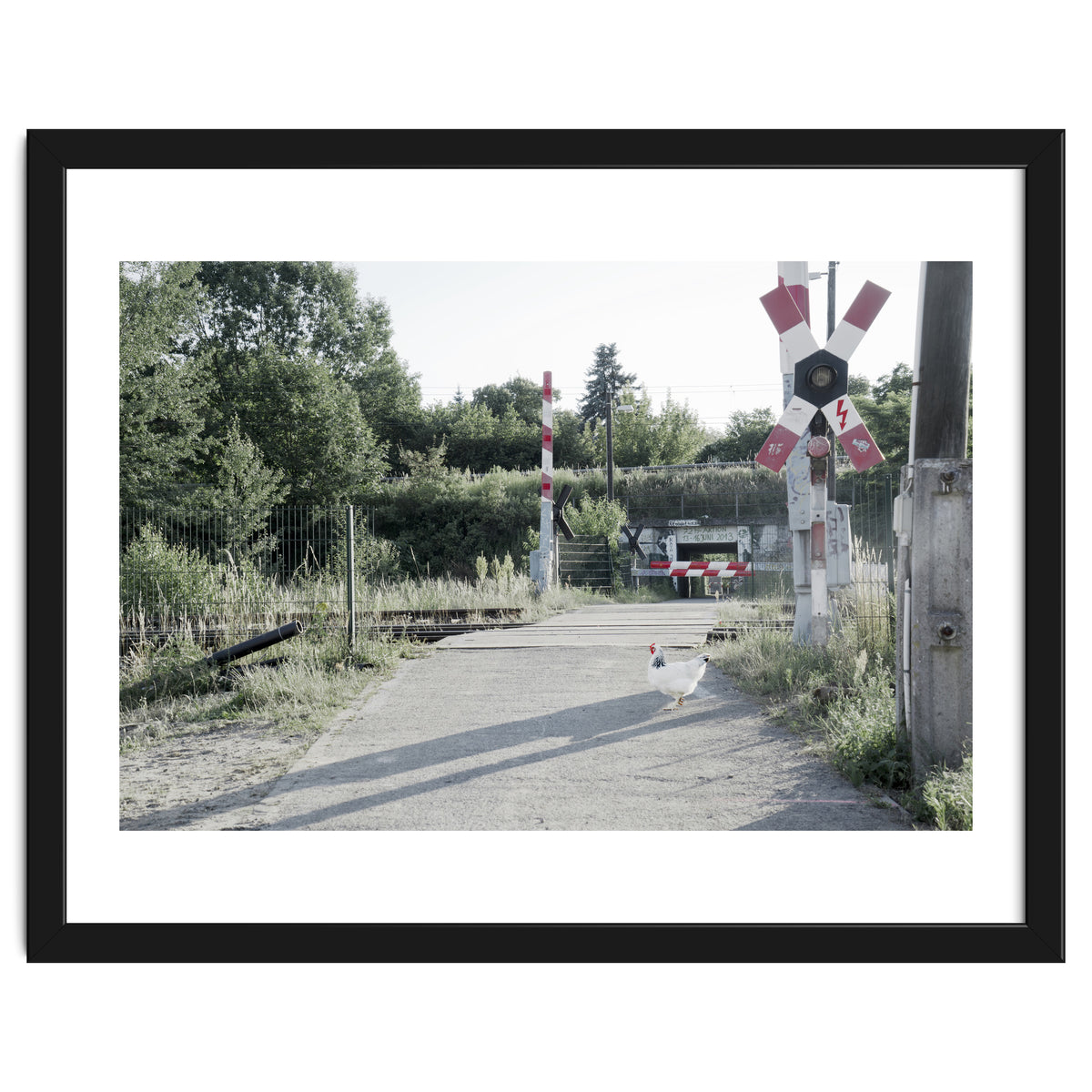 A chicken crossing a railroad