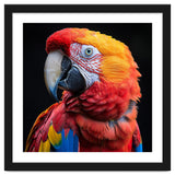 Scarlet Macaw Parrot Close Up Portrait Vivid Colors thumbnail