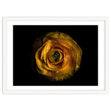 Backyard Flowers No 72 Color Version thumbnail