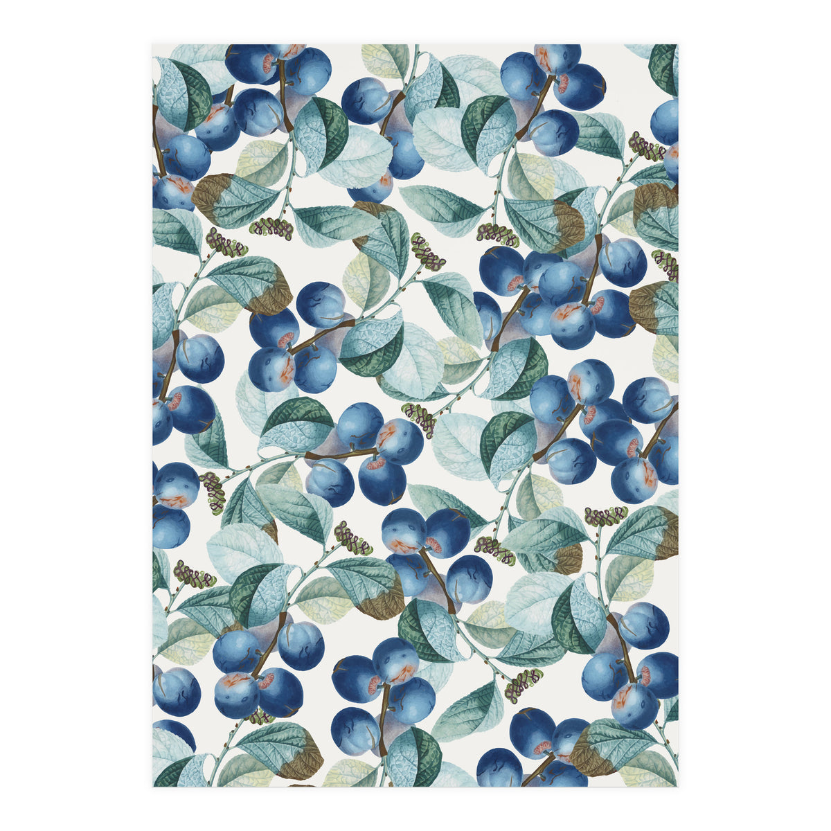 Plum Plum #society6 #decor #buyart (Print Only)