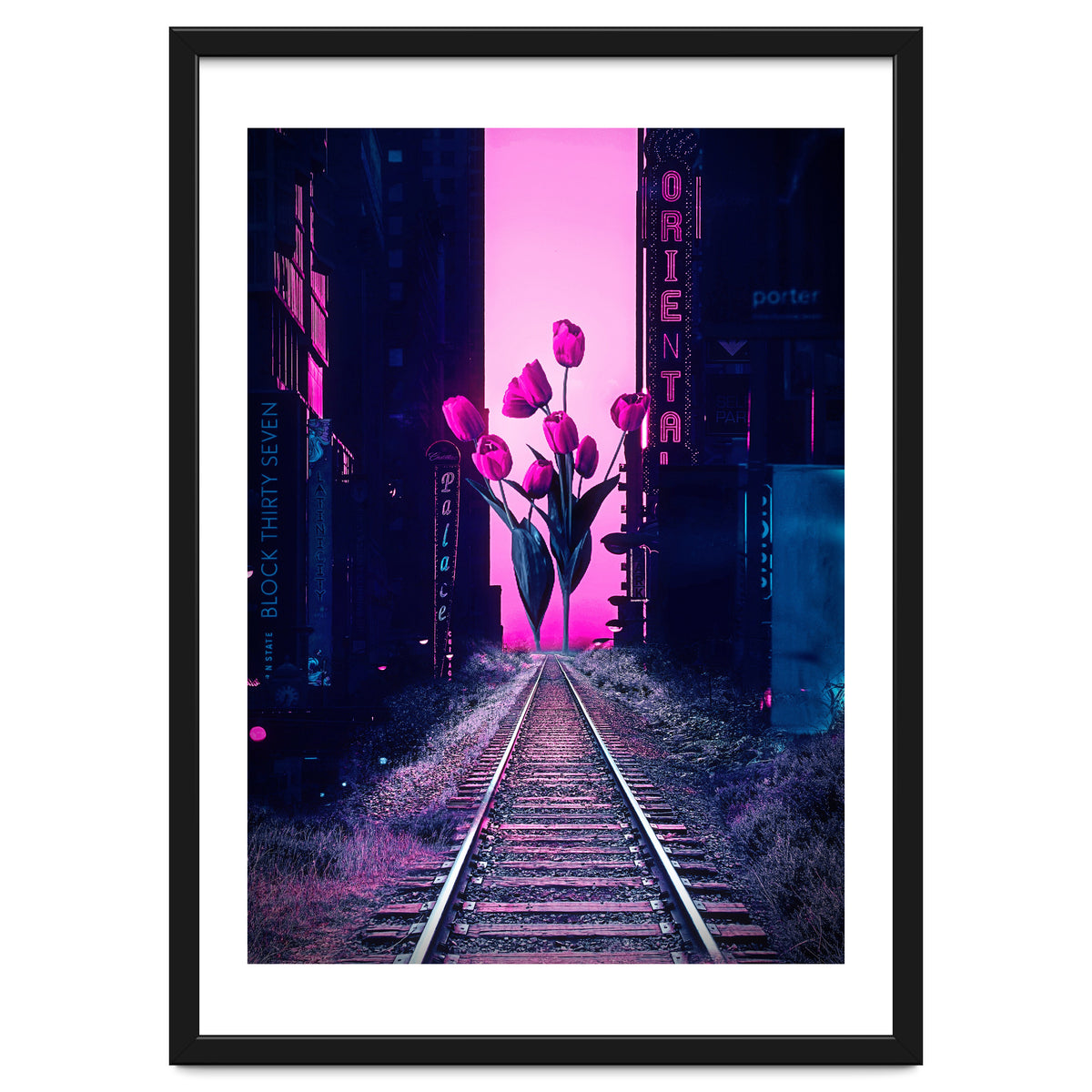 red tulips in the middle of the city