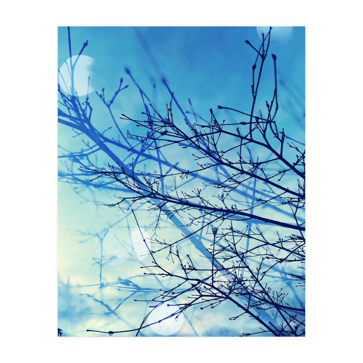 Winter (Print Only)
