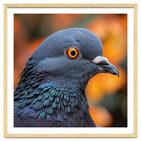 Close Up Of A Pigeon's Head And Neck