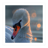 Close Up Of A Swan With Water Droplets (Print Only) thumbnail