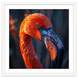 Close Up Flamingo Head Vibrant Orange Plumage thumbnail