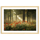 The poppy forest thumbnail