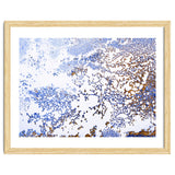 Coral Blooming thumbnail
