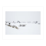 Tables and benches in a snow-covered park (Print Only) thumbnail