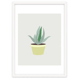 Succulent V1 thumbnail