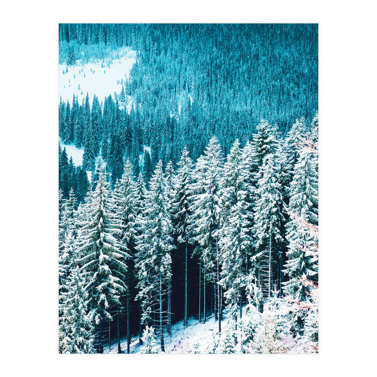 Rainforest #society6 #decor #buyart (Print Only)