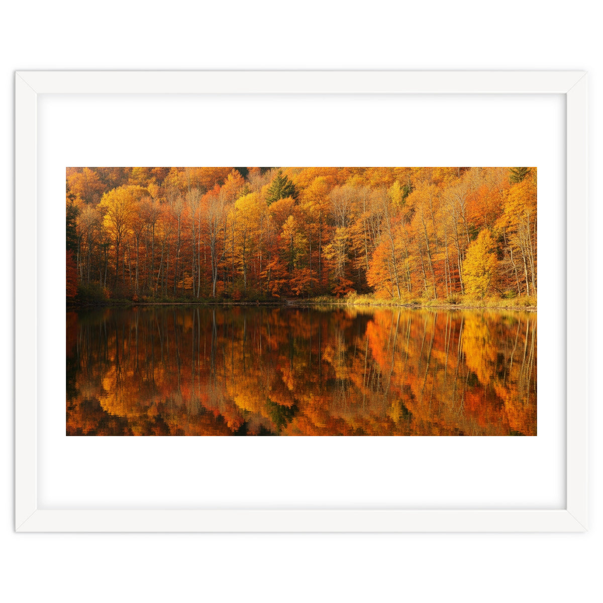 Autumn Reflections