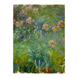Claude Monet (1840-1926). Agapanthus. (Print Only) thumbnail