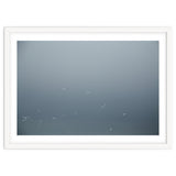 Flying Segulls in thet winter sky thumbnail