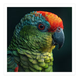 Close Up Colorful Parrot Bird Feather (Print Only) thumbnail
