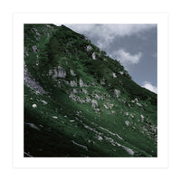 SKIN OF NATURE - WILD CLIFF (Print Only)