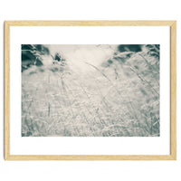 Walking Through Long Grass