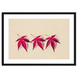 Dancing Leaves thumbnail