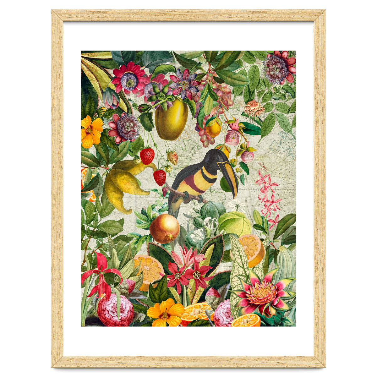 Toucan vintage jungle