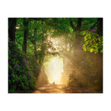 Hare in paradise (Print Only) thumbnail