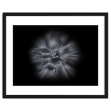 Backyard Flowers In Black And White No 66 Flow Version thumbnail
