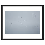 Flying seagulls in the winter sky thumbnail