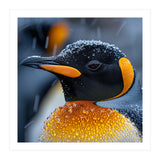 King Penguin Close Up In Snowfall (Print Only) thumbnail