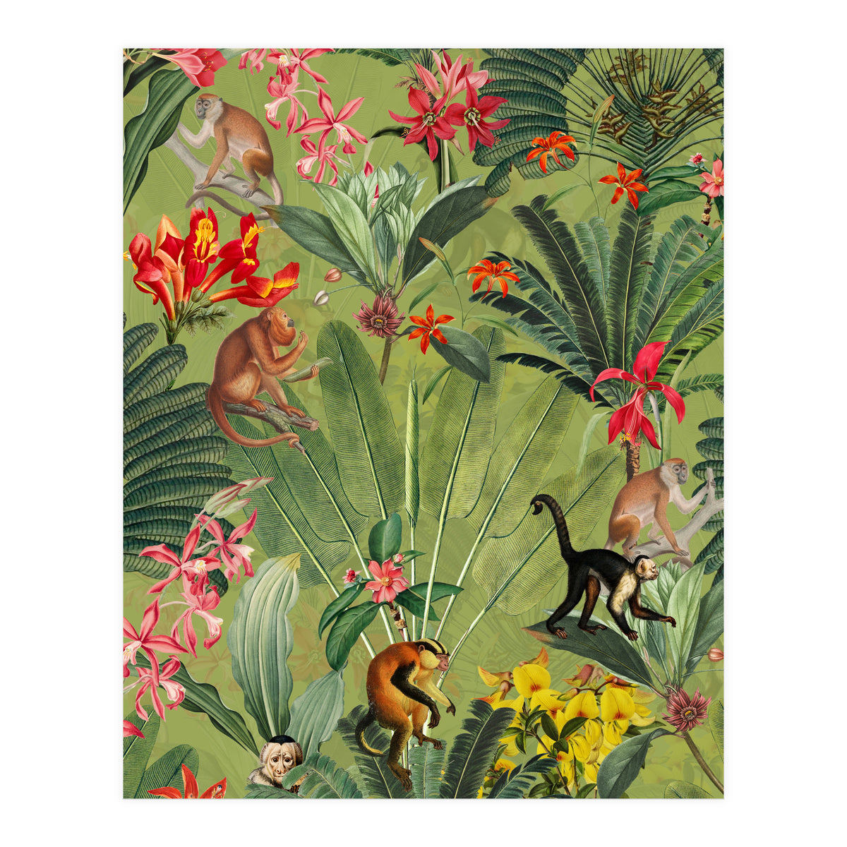 Monkeys In Tropical Jungle Paradise (Print Only)