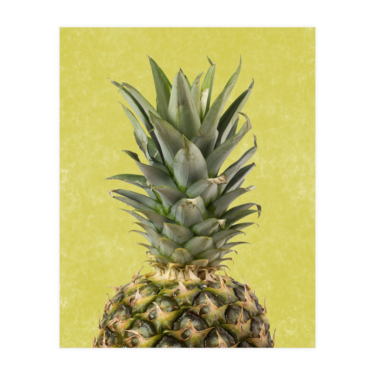 Pineapple Crown, Tropical Summer Fruit Art (Print Only)