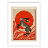 Hare And The Red Sun thumbnail