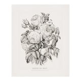 Currier & Ives – Rose of May (1870) (Print Only) thumbnail
