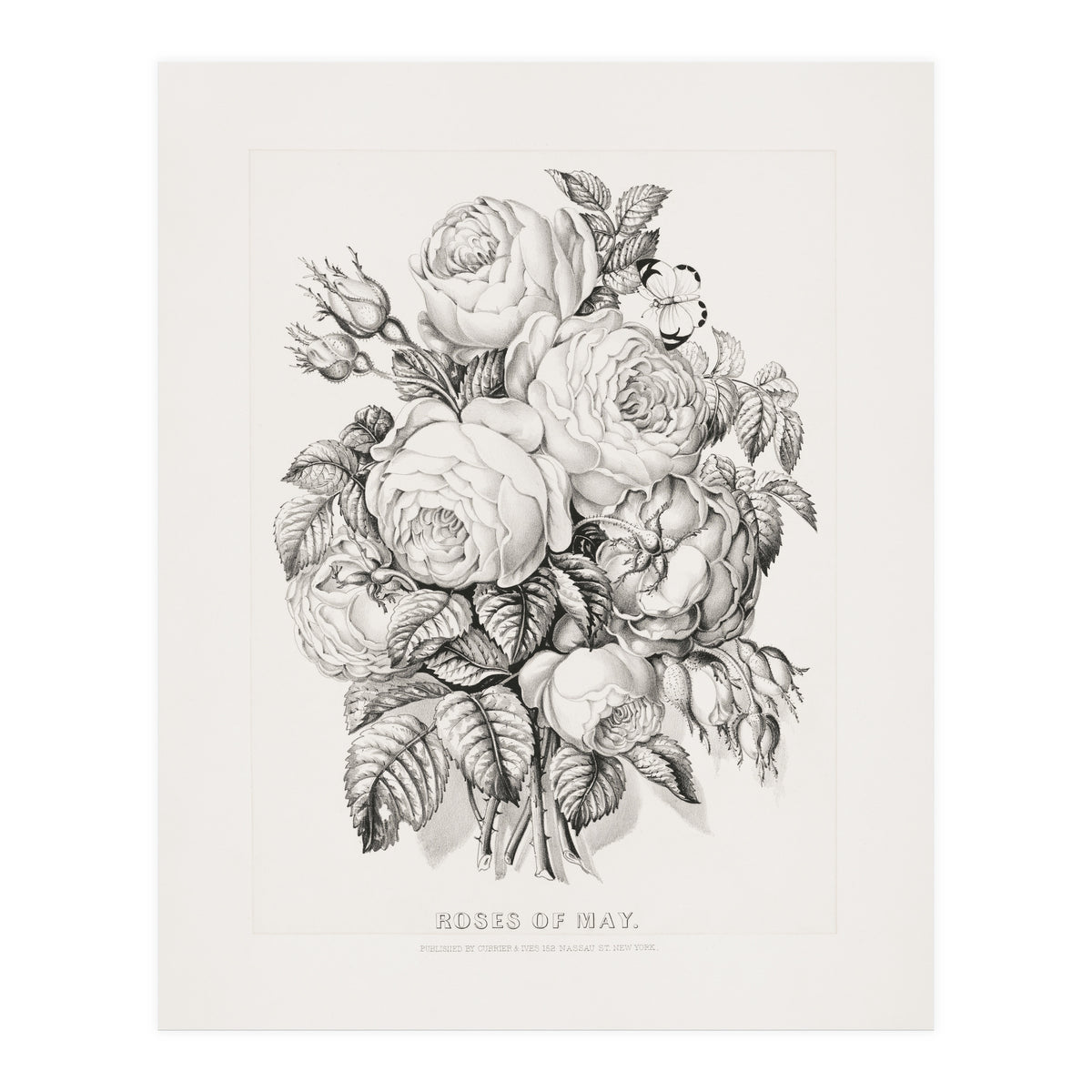 Currier & Ives – Rose of May (1870) (Print Only)
