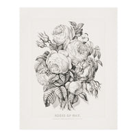 Currier & Ives – Rose of May (1870) (Print Only)