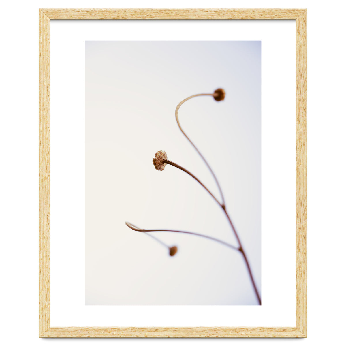 In light of current events VIII