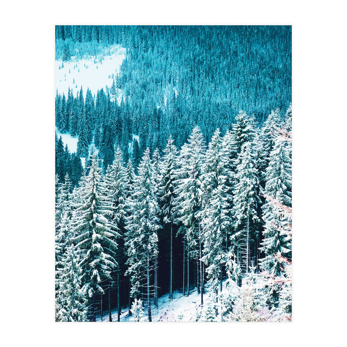 Rainforest #society6 #decor #buyart (Print Only)