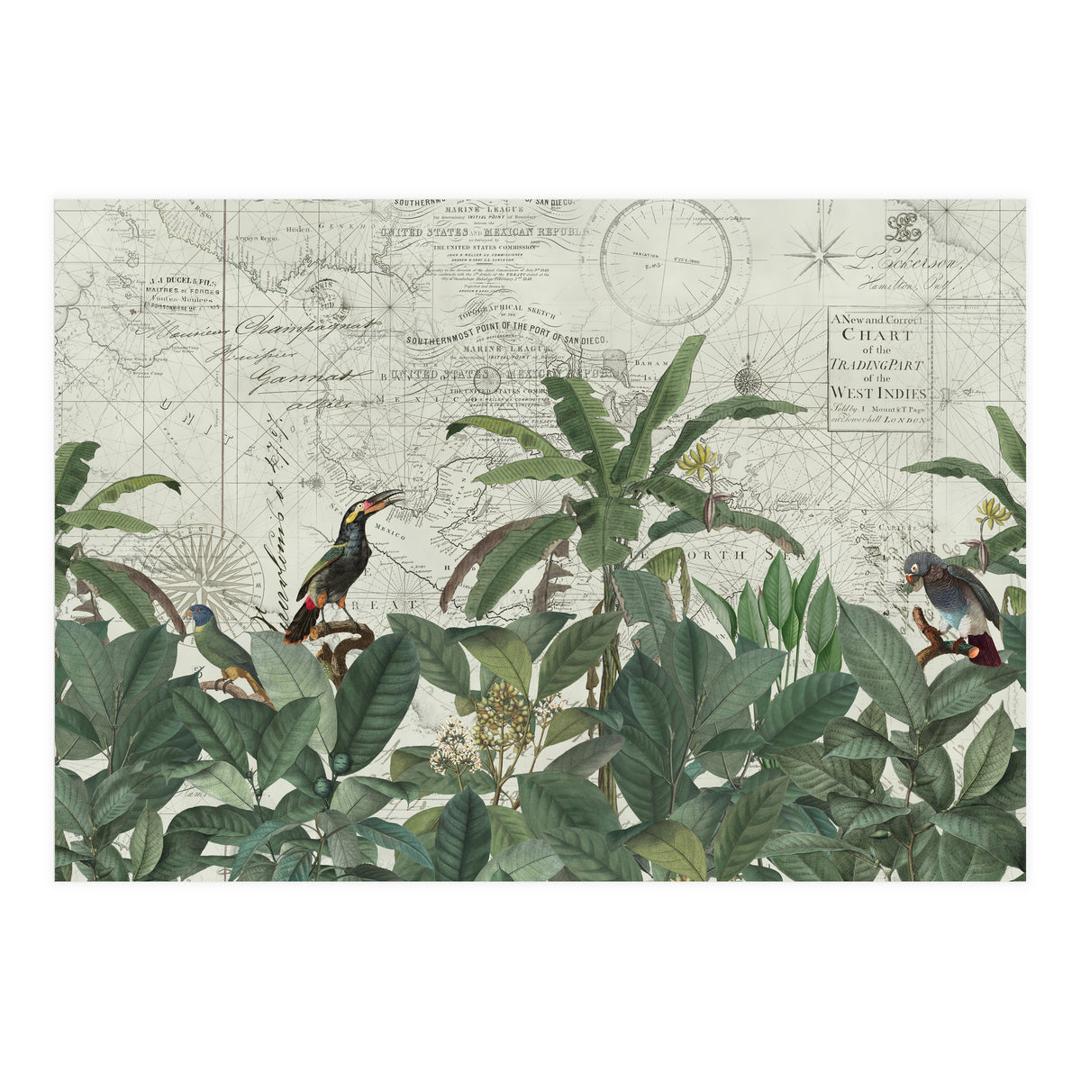 Explore The New World (Print Only)