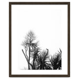 Miminalist Palm thumbnail