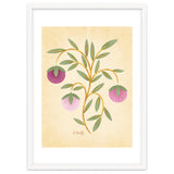 Vintage Fruits thumbnail