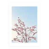 Sakura - cherry blossom (Print Only) thumbnail