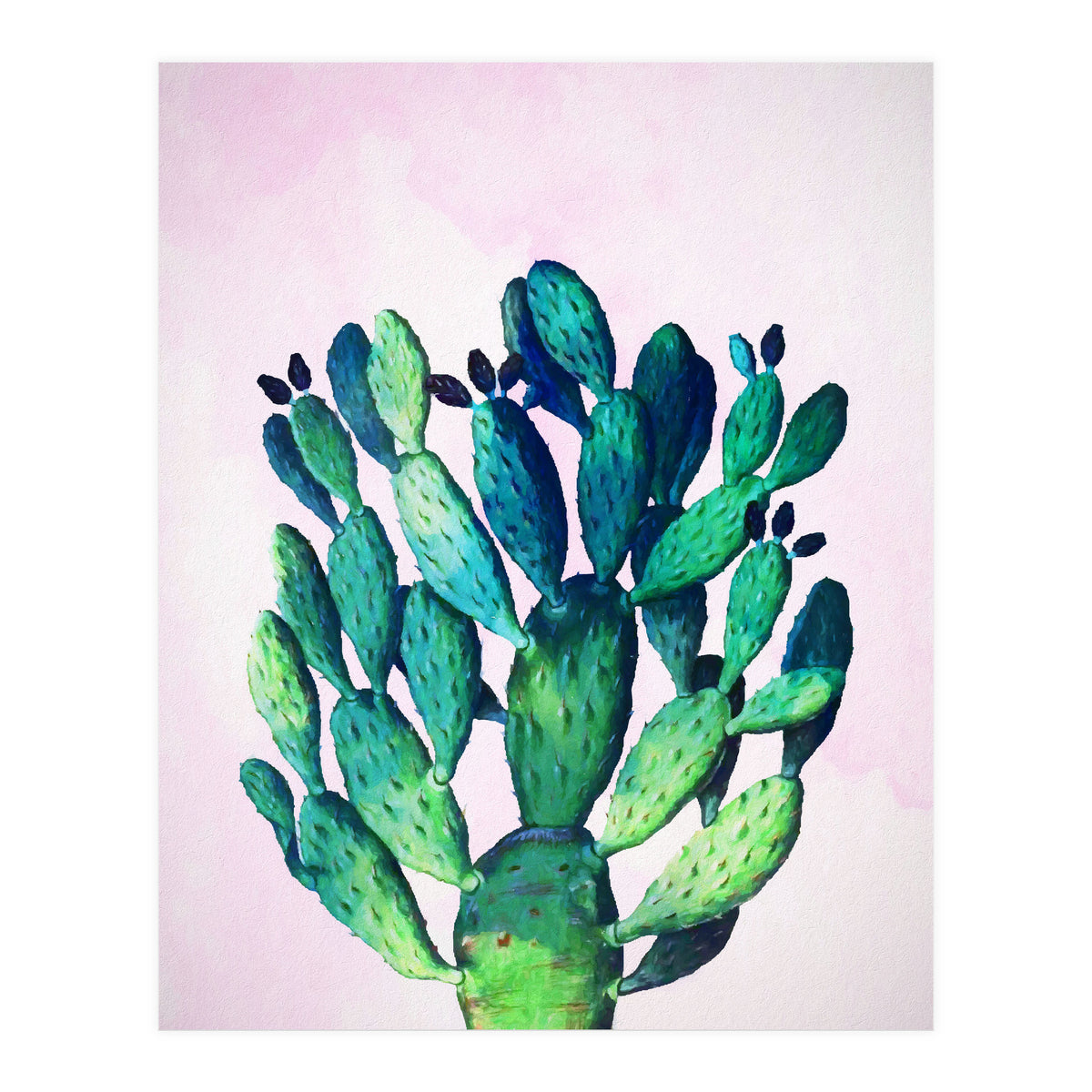 Cactus Three Ways (Print Only)