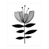 Tulip blossom (Print Only) thumbnail