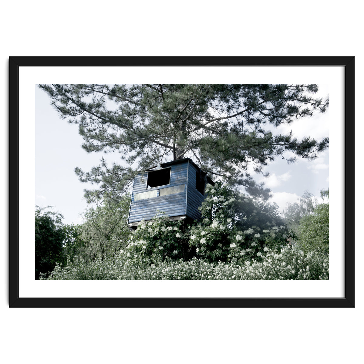 Blue hut on the tree