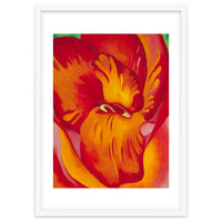 Georgia O’Keeffe – Canna Red and Orange (1926) | Vibrant Modernist Floral Painting in Bold Organic Forms